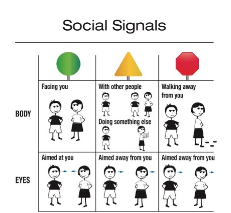 social cues