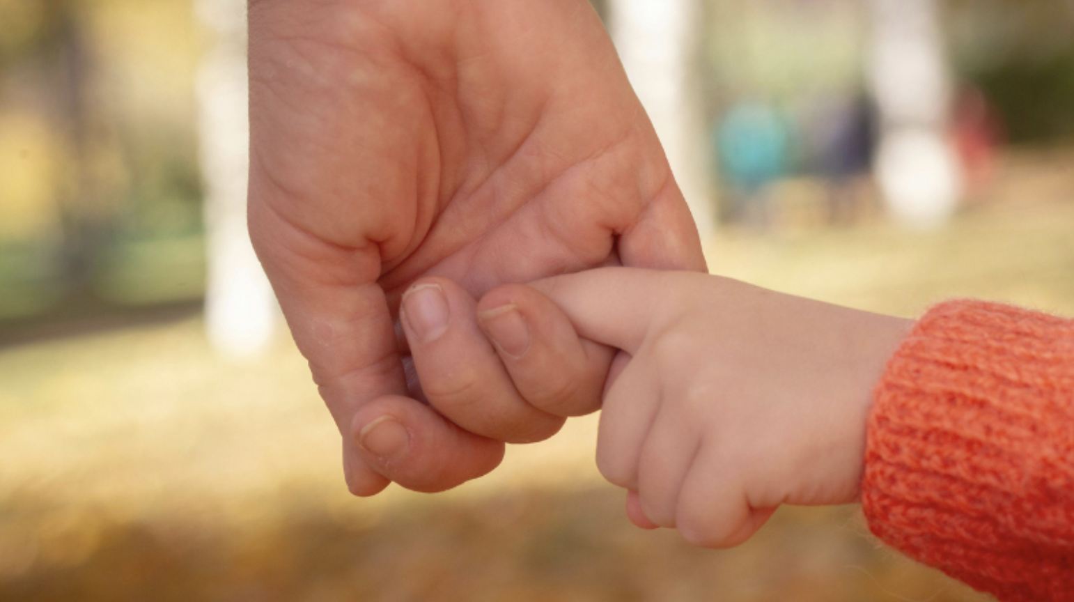 Parent hand holding a child's hand